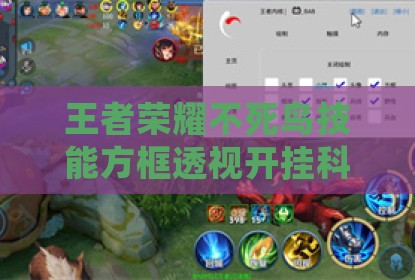 王者荣耀不死鸟技能方框透视开挂科技