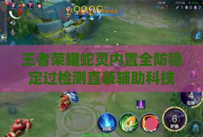 王者荣耀蛇灵内置全防稳定过检测直装辅助科技