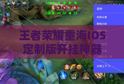 王者荣耀重海IOS定制版开挂神器