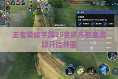 王者荣耀手游25实体方框直装版开挂神器