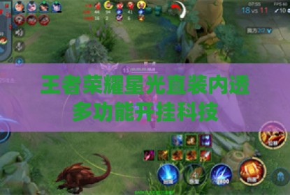 王者荣耀星光直装内透多功能开挂科技