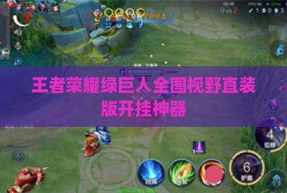 王者荣耀绿巨人全图视野直装版开挂神器