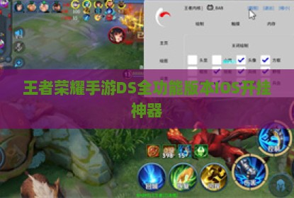 王者荣耀手游DS全功能版本IOS开挂神器